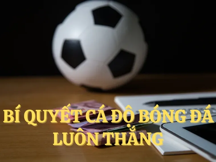 Kinh Nghiệm Cá Cược Bóng Đá QH88: Bí Quyết Thắng Lớn